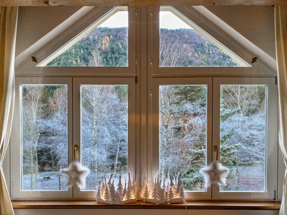 View (from property/room), Garden view