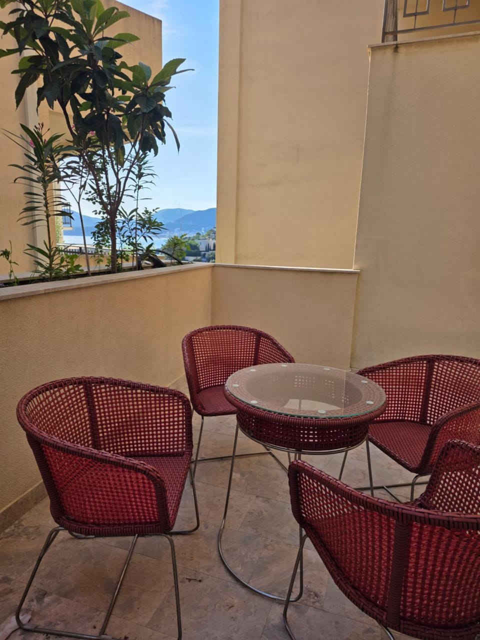 Balcony/Terrace