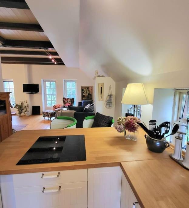 Kitchen or kitchenette, Living room