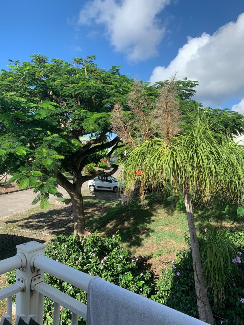 Garden view