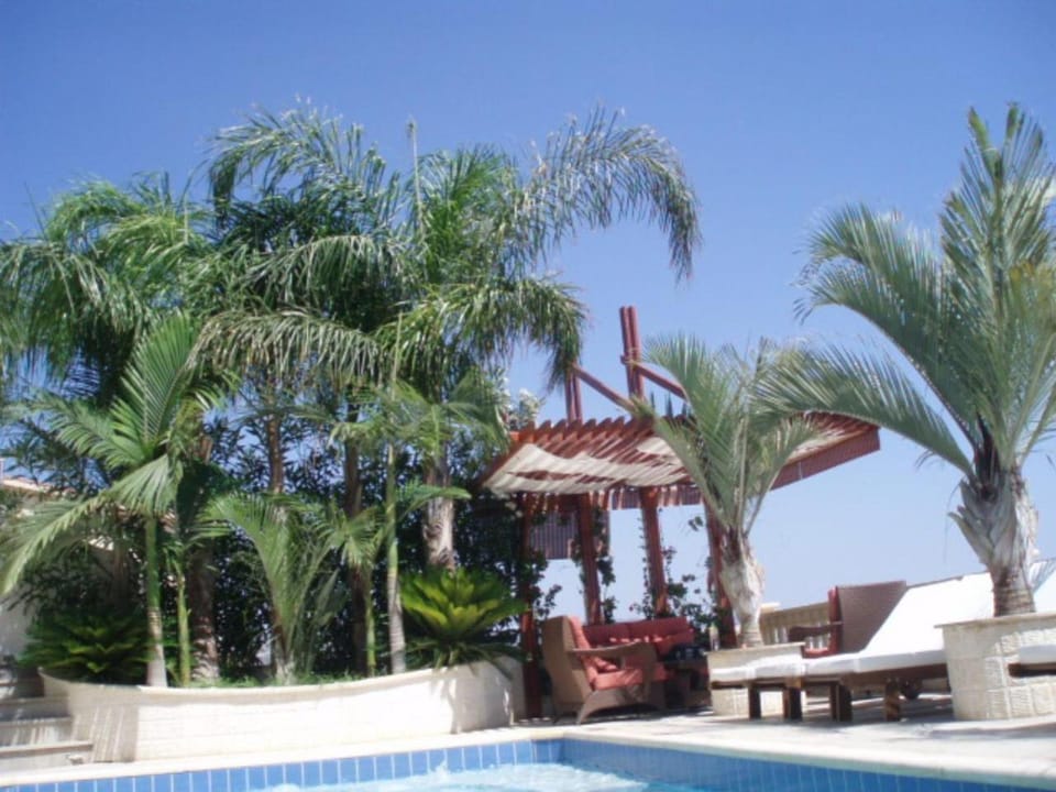 Day, Garden, Swimming pool, sunbed