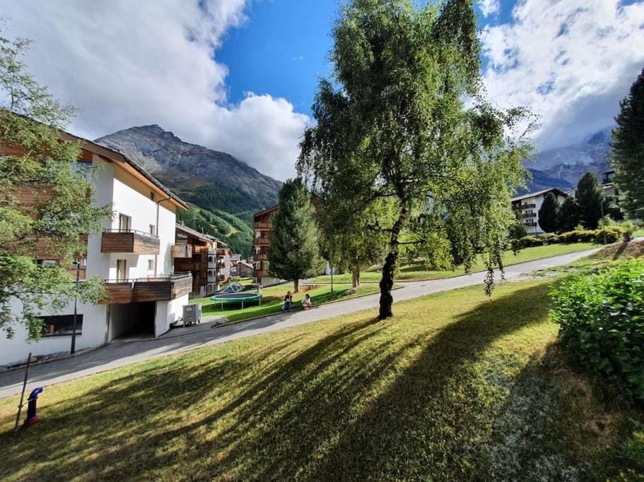 Natural landscape, Garden, Garden view, Mountain view