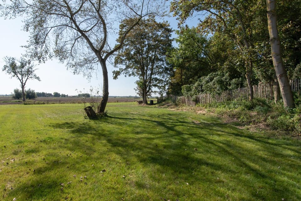 Garden, View (from property/room)