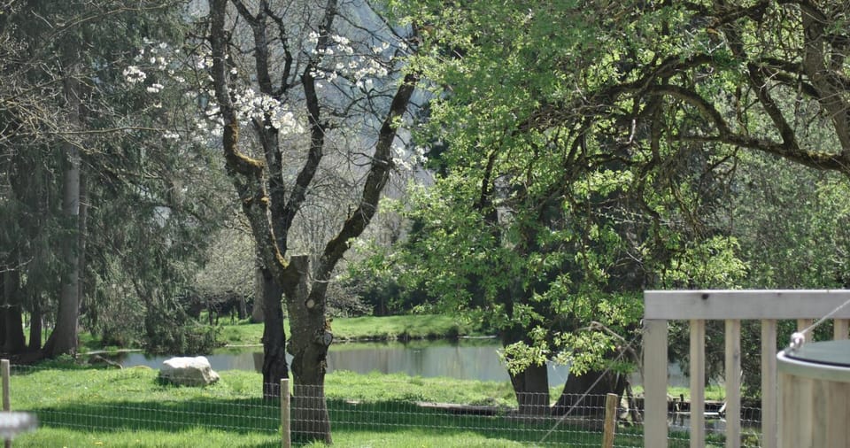 Lake view
