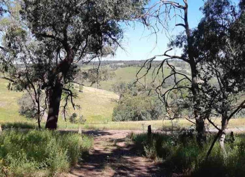 Natural landscape