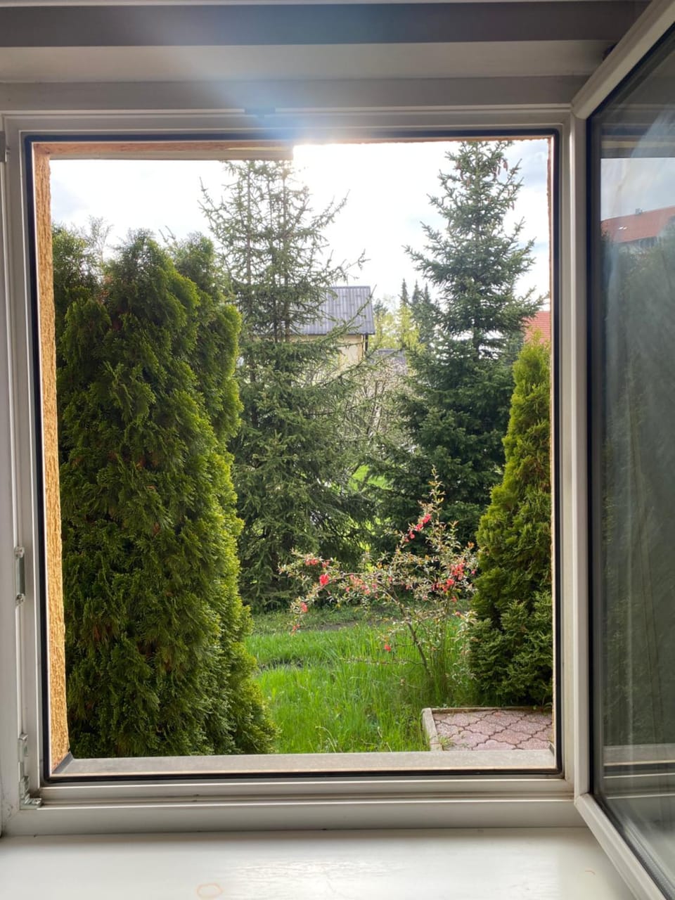 Spring, Garden, Garden, Garden view