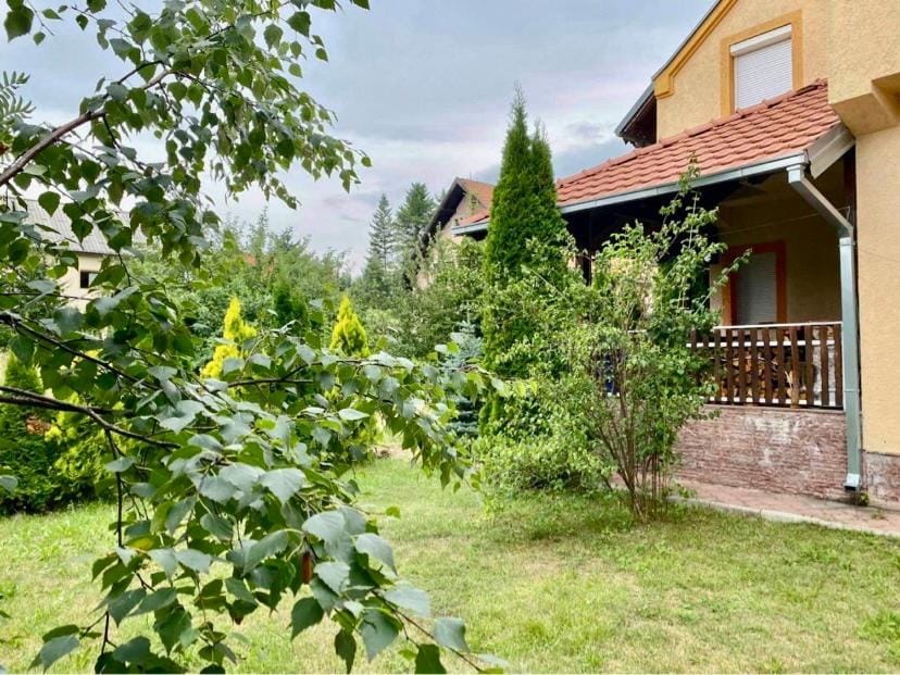 Natural landscape, Garden, Garden, Garden view