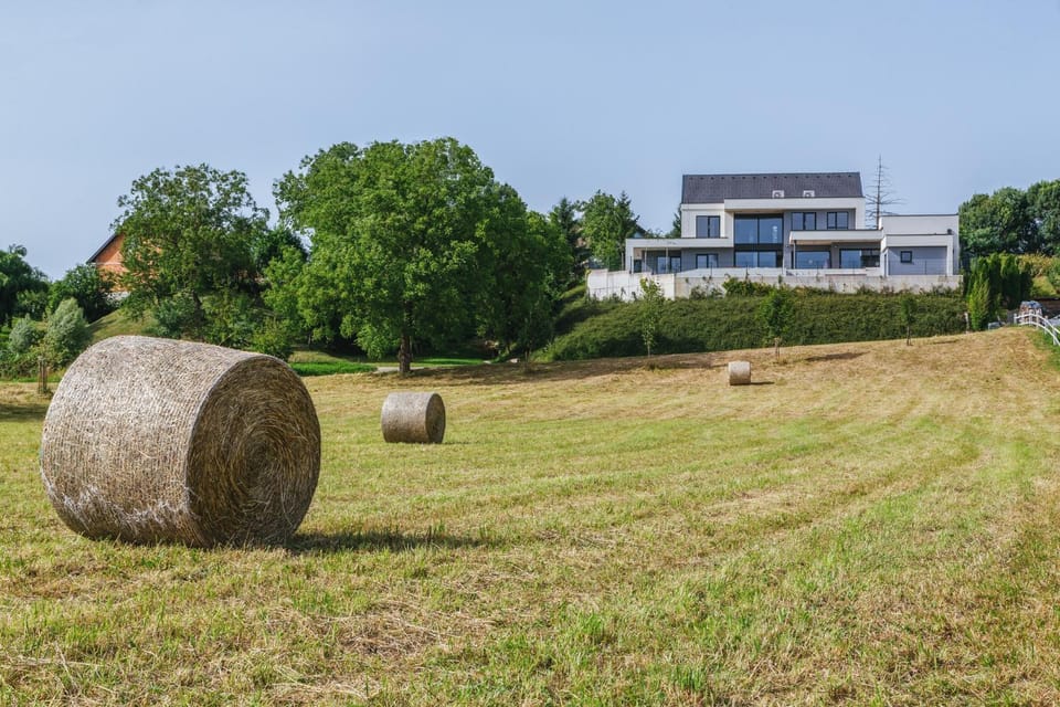 HIRUNDO- villa with saunas and hot tub Villa in Slovenia