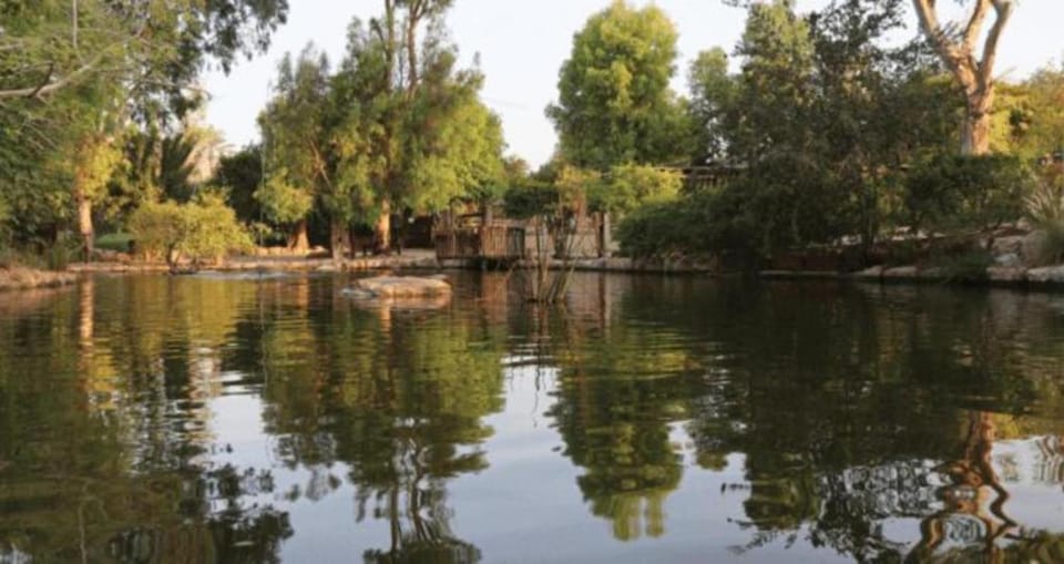 Spring, Day, Natural landscape, Lake view, River view, Swimming pool