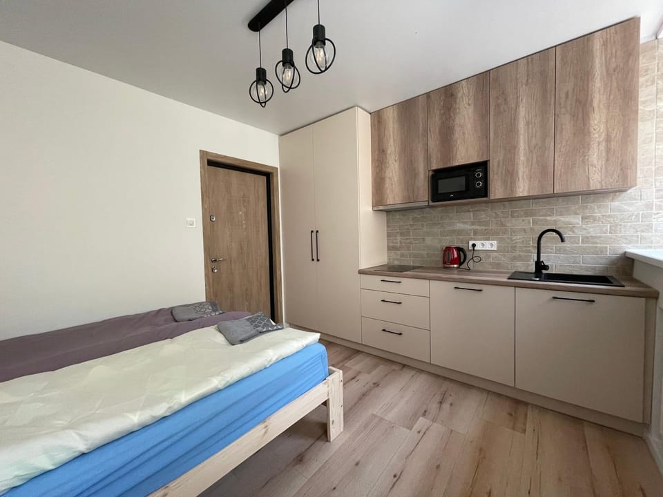 Modern guest house in city center I Room 2 Bed and Breakfast in Vilnius