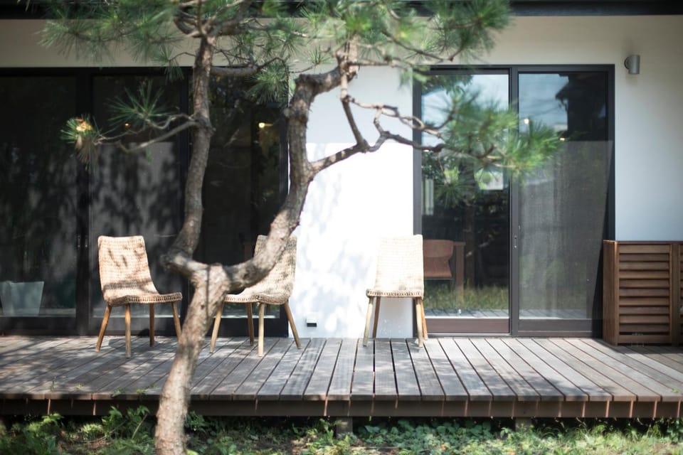 Patio, Day, Garden, Garden view, Garden view