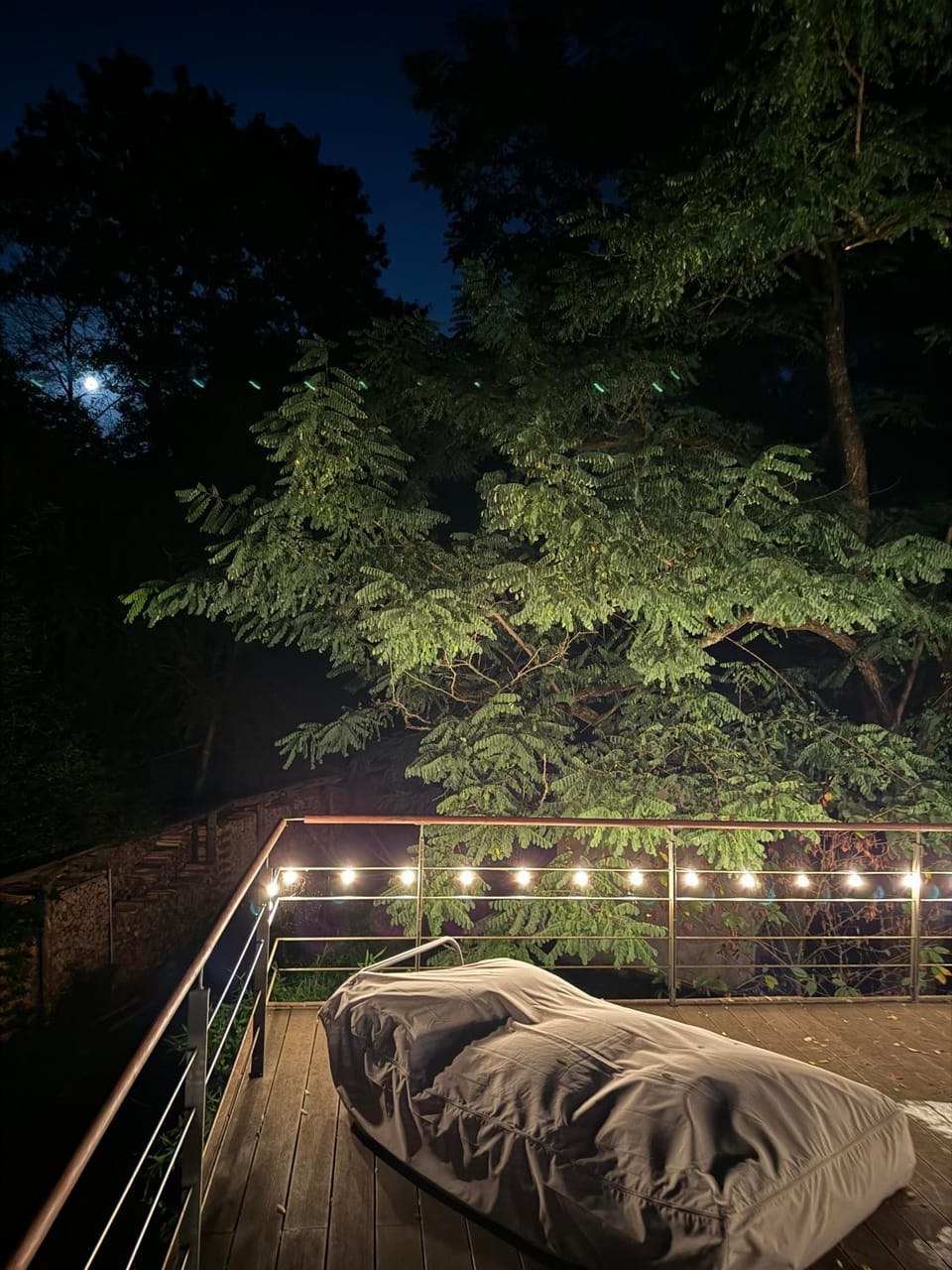 Night, Natural landscape, Garden, View (from property/room), Balcony/Terrace, Garden view