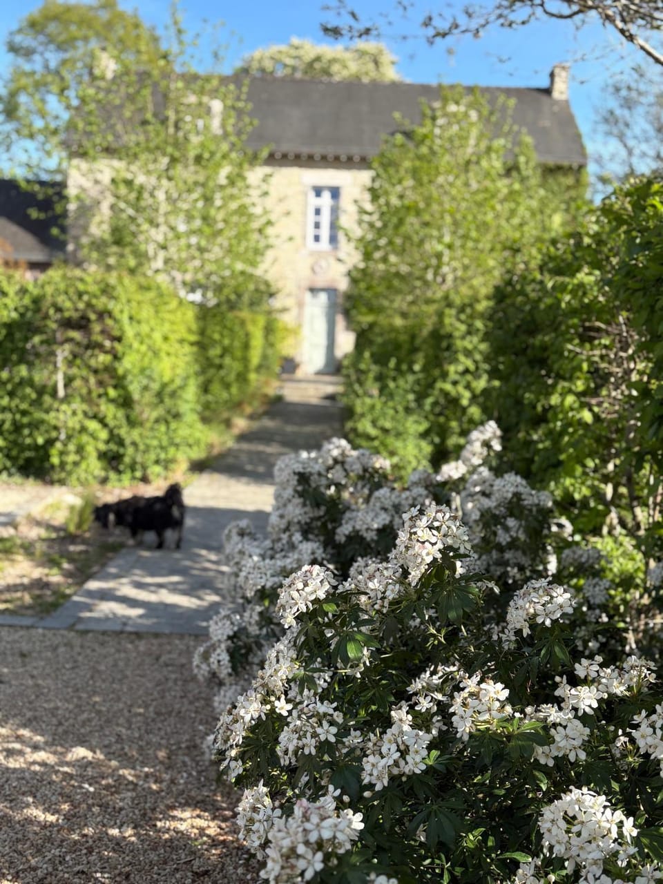 Manoir Saint-André,B&B de charme Bed and Breakfast in Brittany