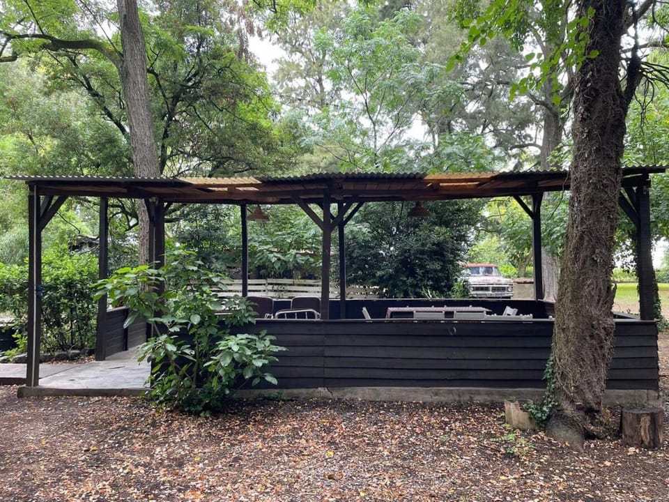 Natural landscape, Garden view