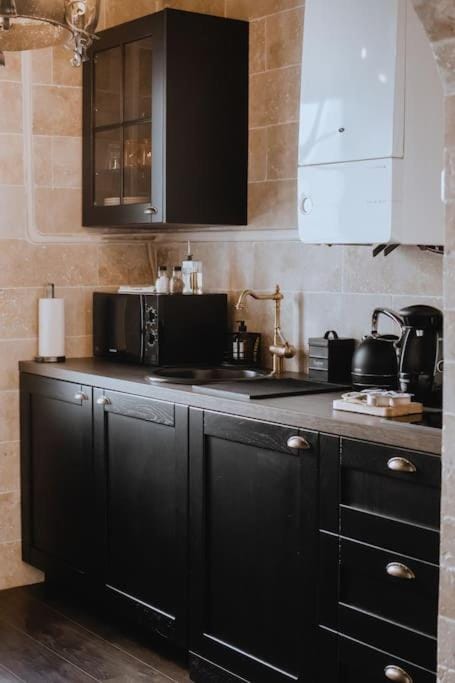 Coffee/tea facilities, Kitchen or kitchenette, minibar, pet friendly, stove, toaster