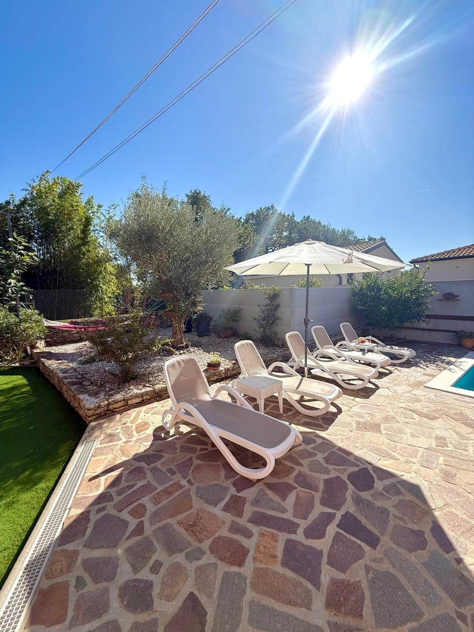 Garden, Pool view, sunbed