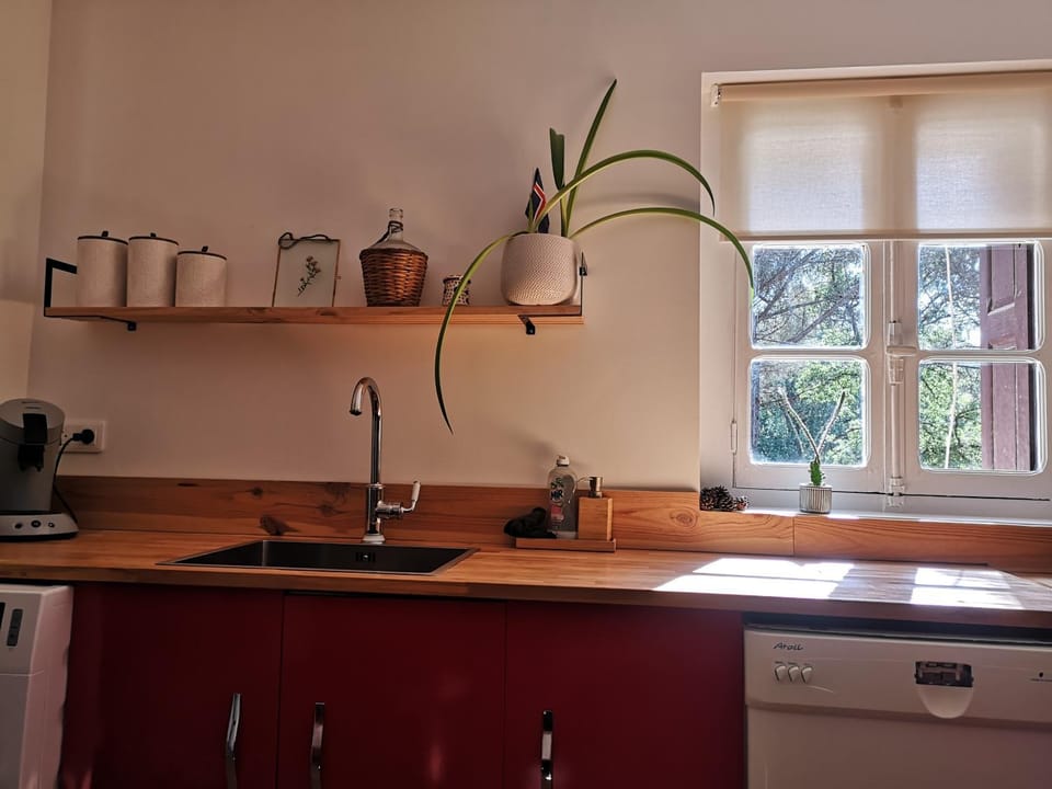 Coffee/tea facilities, Kitchen or kitchenette, stove, toaster