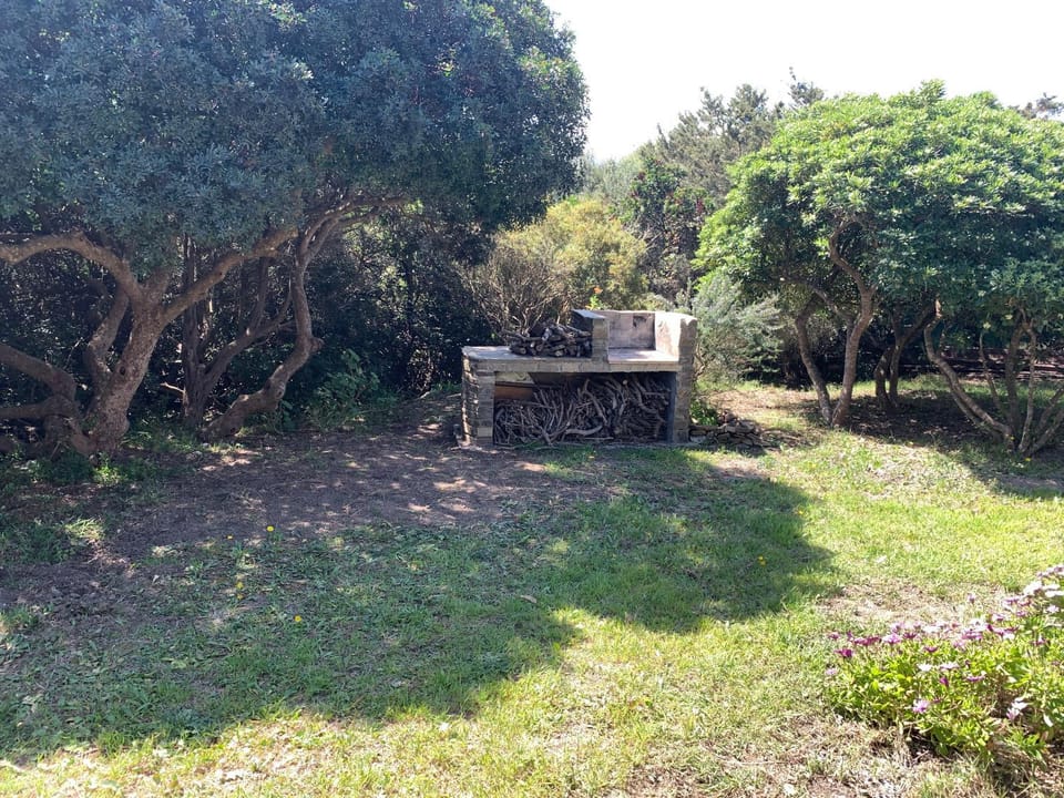 BBQ facilities