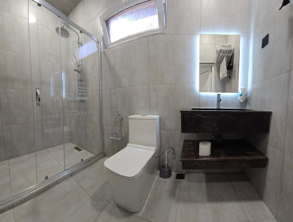 Shower, Toilet, Bathroom, towels