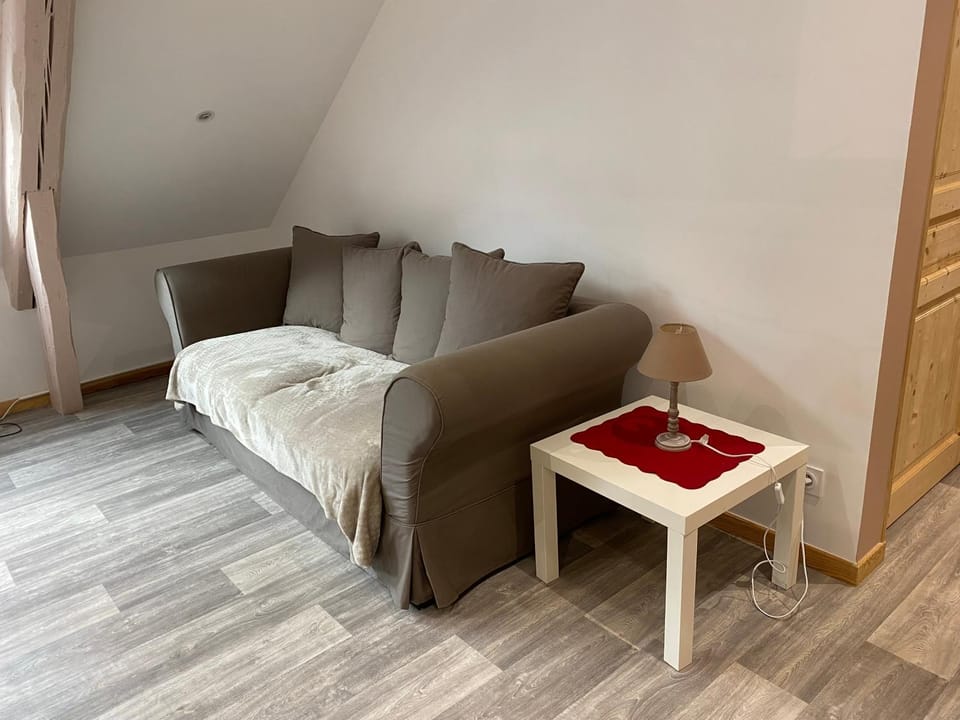 Le cosy de la vologne Apartment in Gérardmer