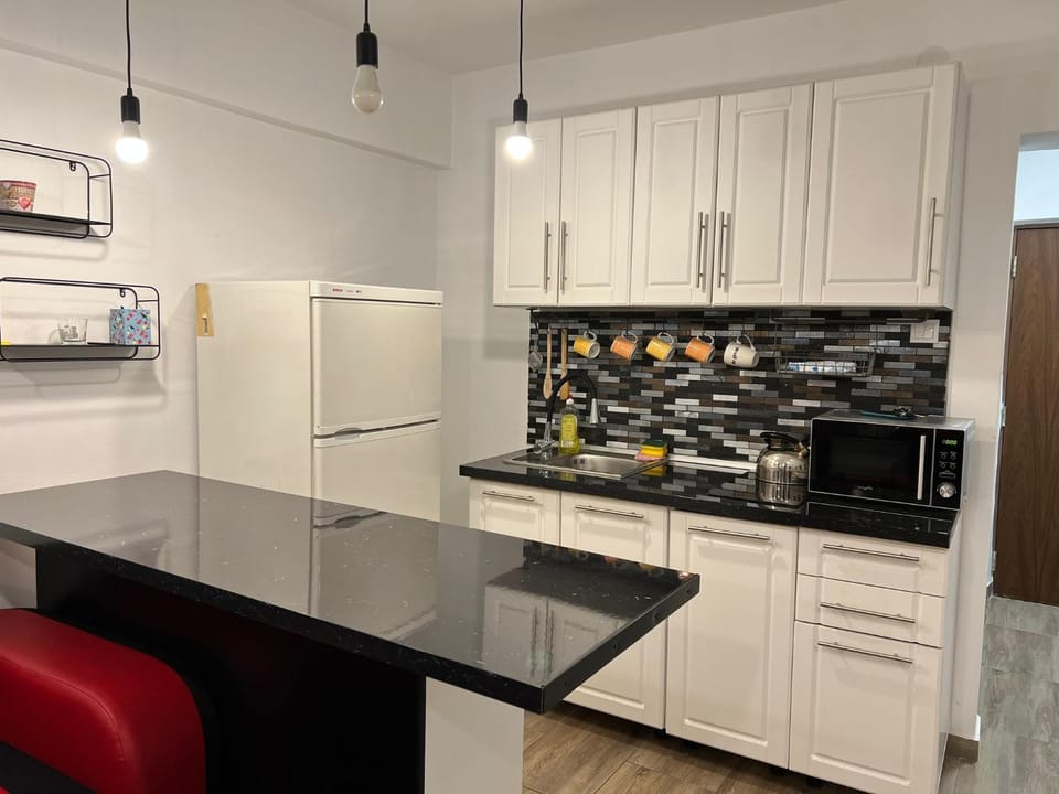 Kitchen or kitchenette, minibar, pet friendly, stove