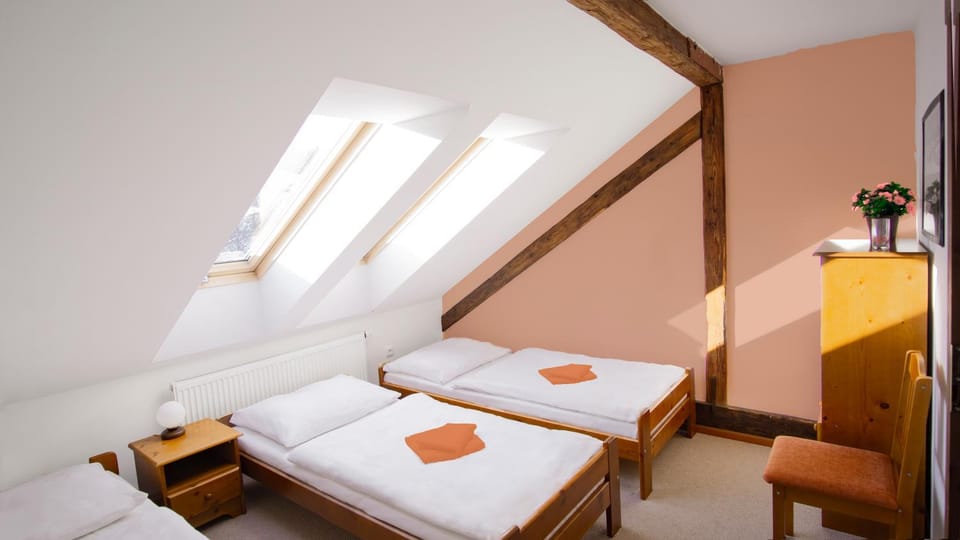penzion Horácko Bed and Breakfast in Czechia