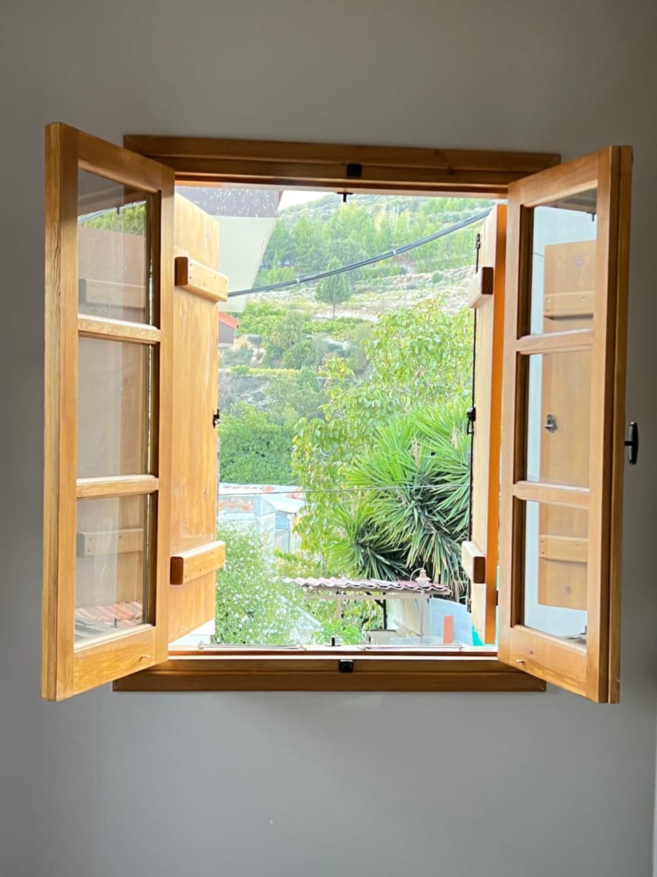 Garden view