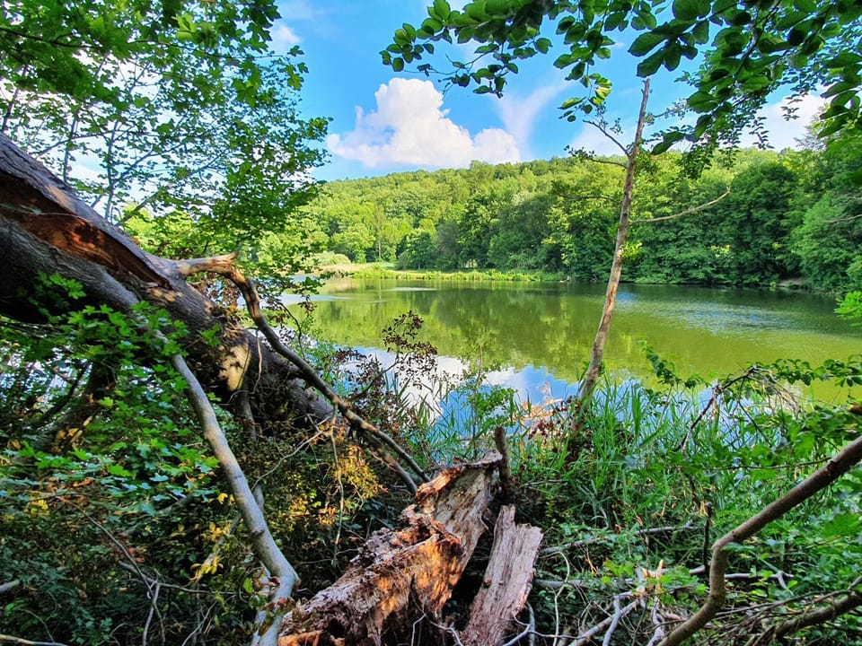 Natural landscape