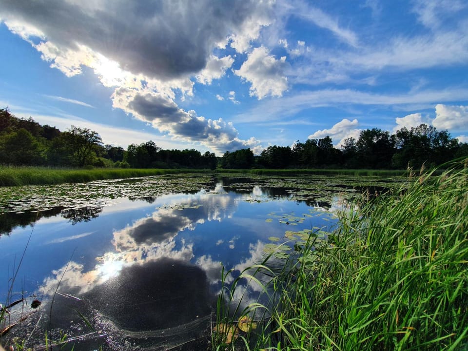 Natural landscape