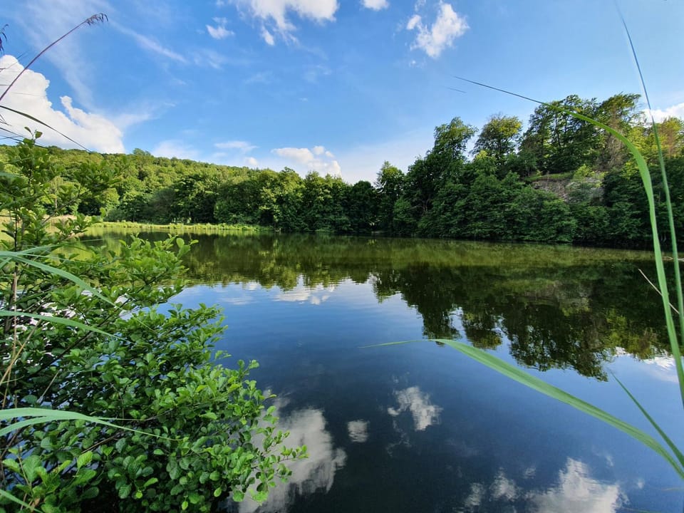 Natural landscape