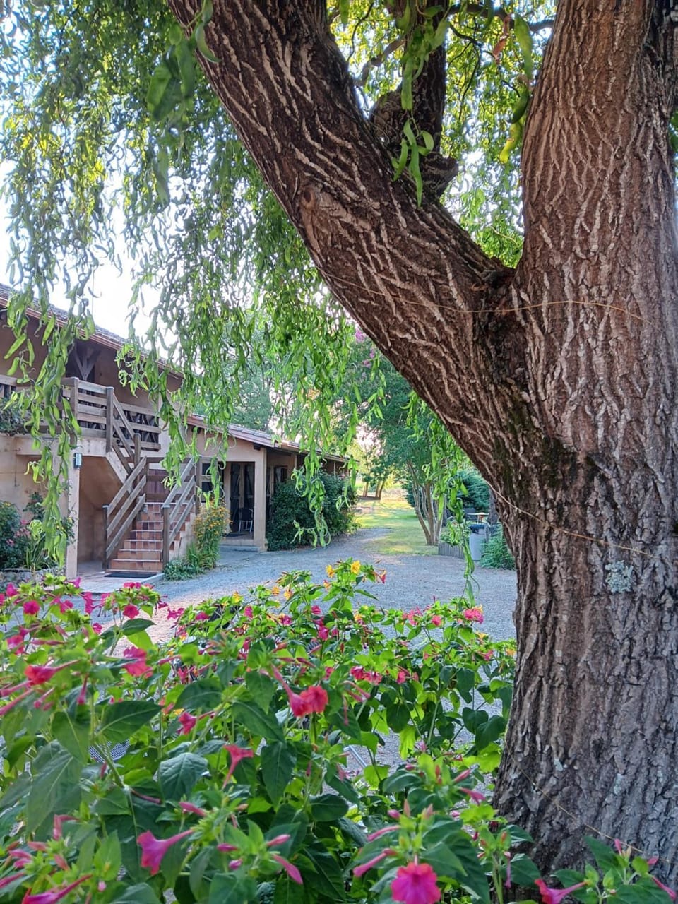 Property building, Garden, Garden view