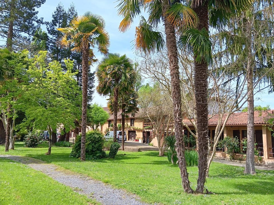 Garden, Garden, Garden view