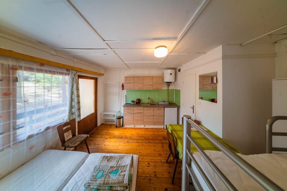 Kitchen or kitchenette, Photo of the whole room, Dining area, Bedroom