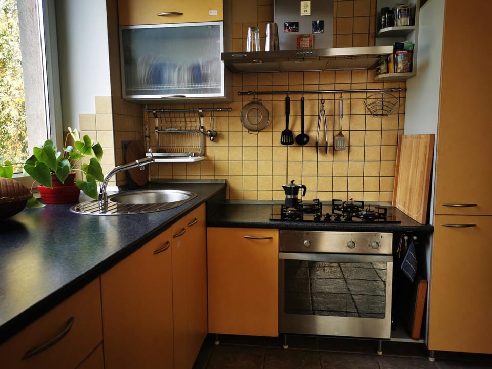 Kitchen or kitchenette, dishwasher, pet friendly, stove