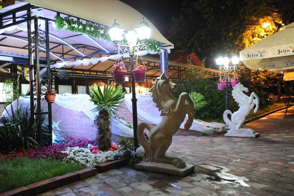 Night, Garden, Garden view