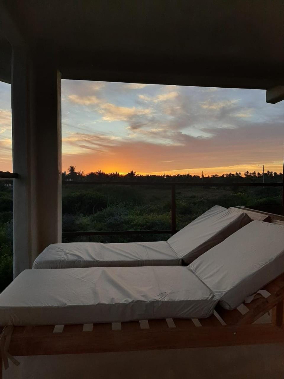 Natural landscape, Swimming pool, sunbed