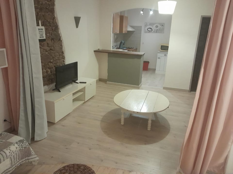Studio Apartment in Carcassonne