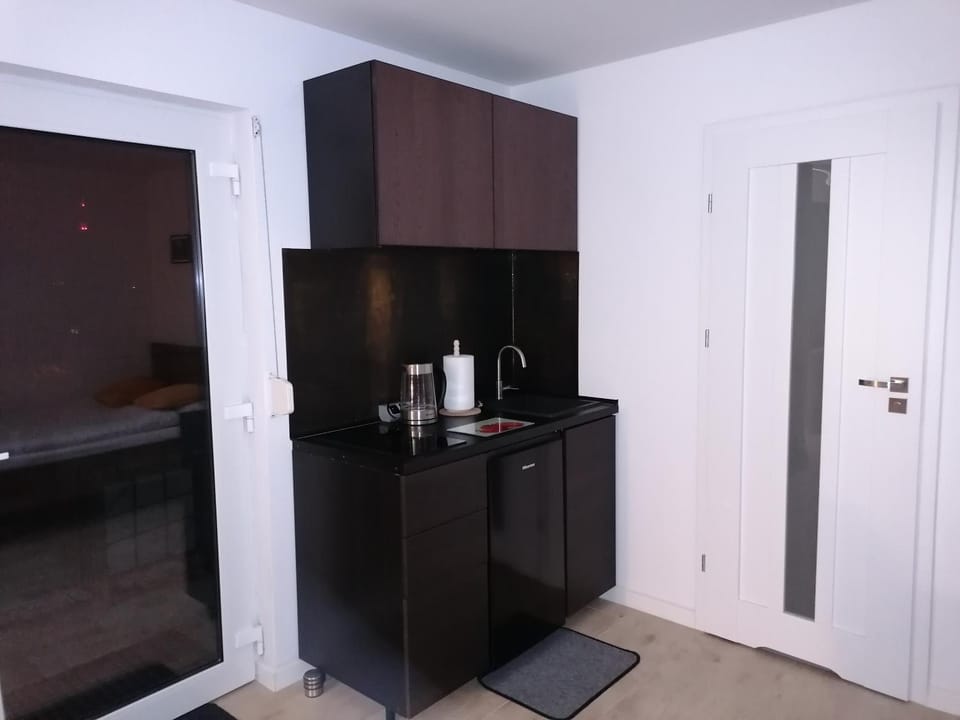 Apartament u Przewodnika Sudeckiego Apartment in Lower Silesian Voivodeship