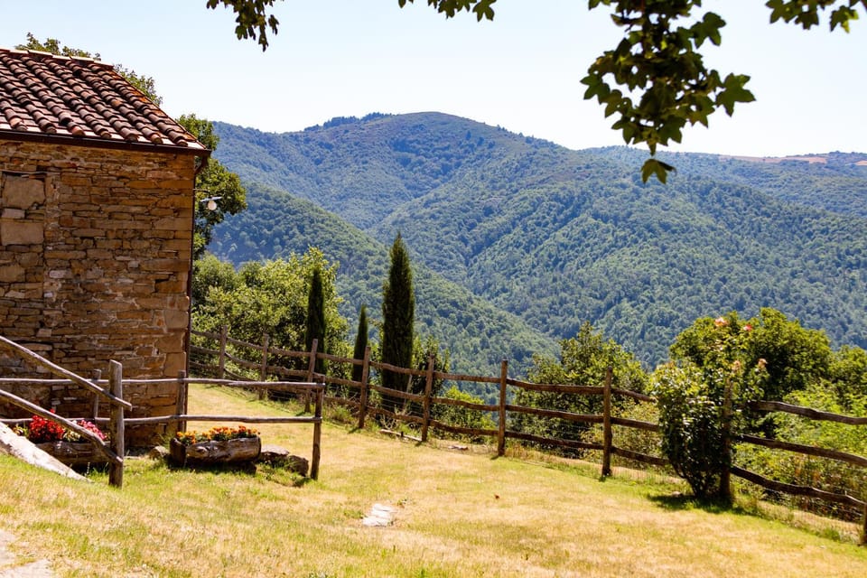 Natural landscape, Garden