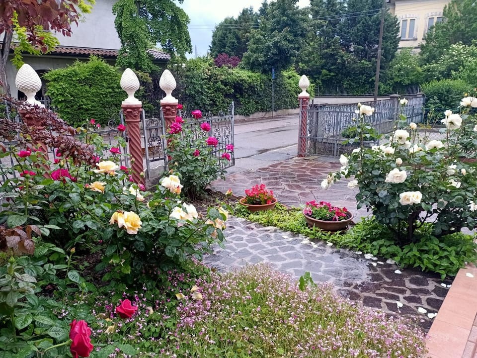 Spring, Garden view