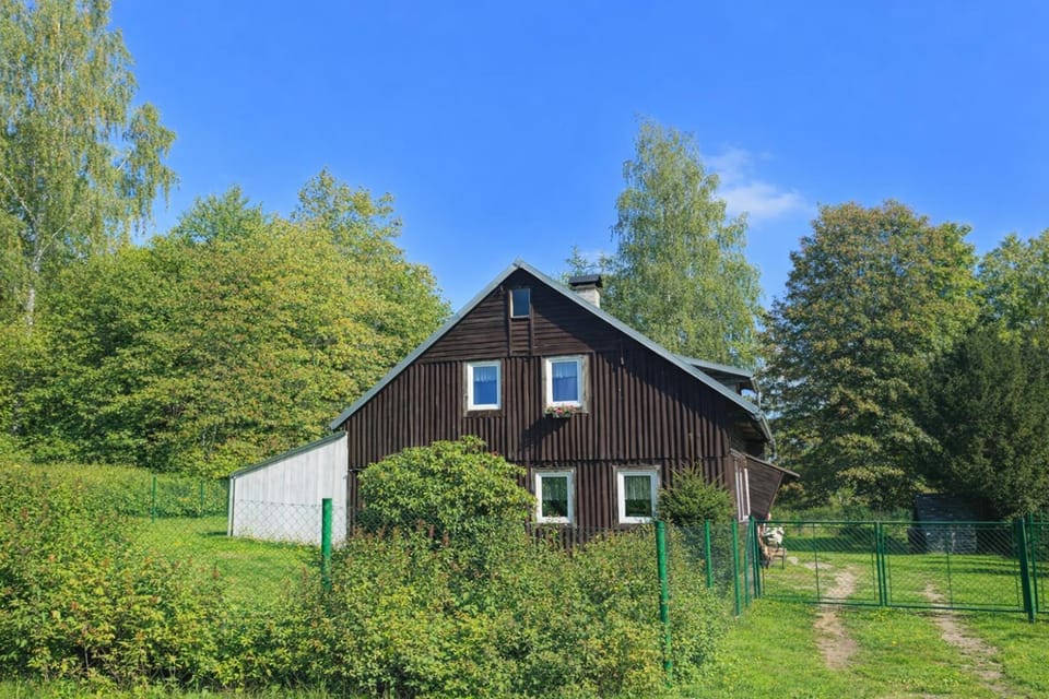 Day, Natural landscape, Garden