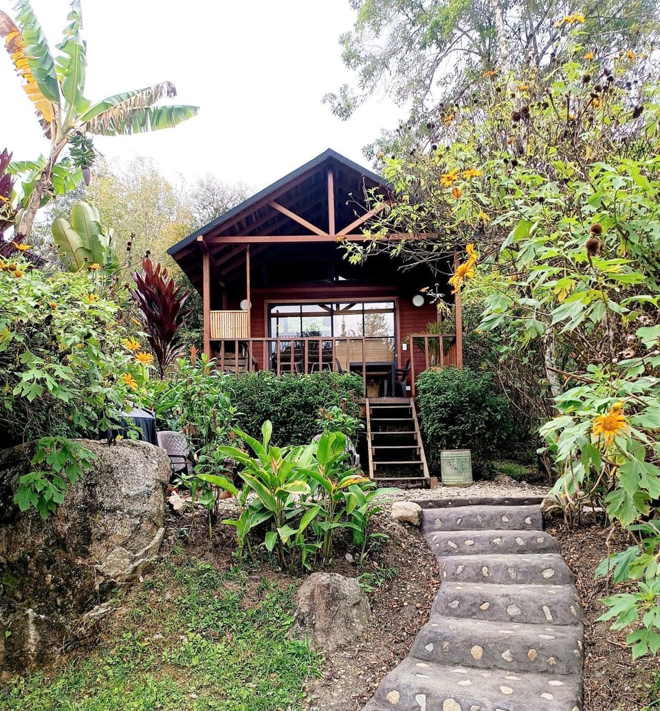 Cabaña Momotus I House in Antioquia