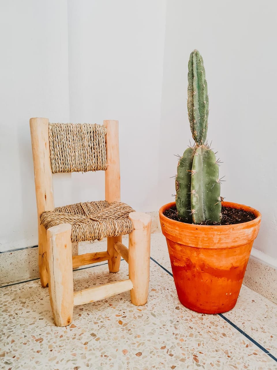cactus surf house Hostel in Souss-Massa