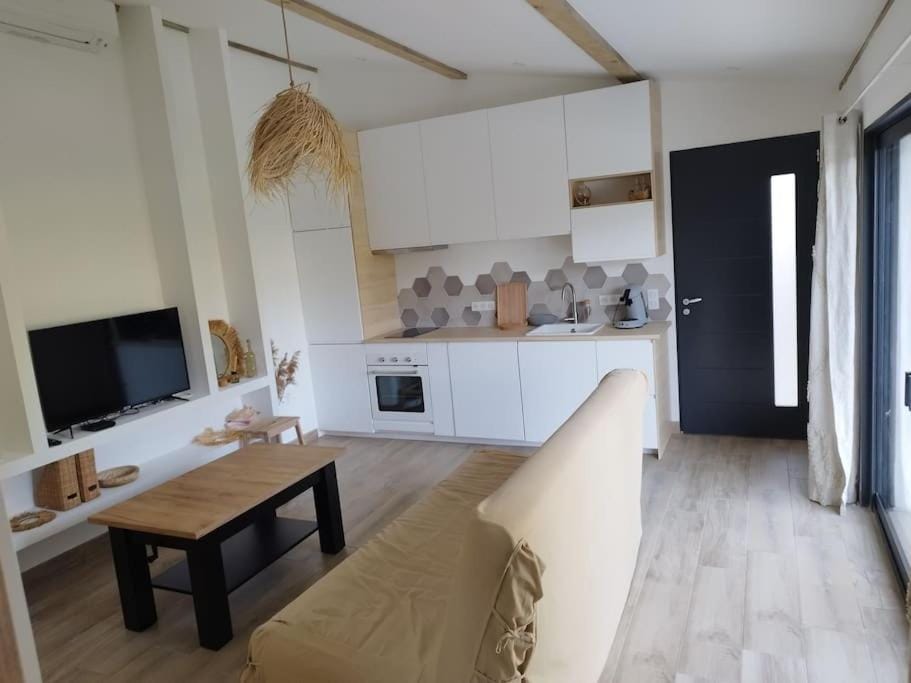 Kitchen or kitchenette, Living room, Dining area, pet friendly, stove
