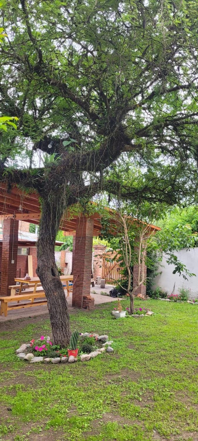 Garden, Garden, Garden view