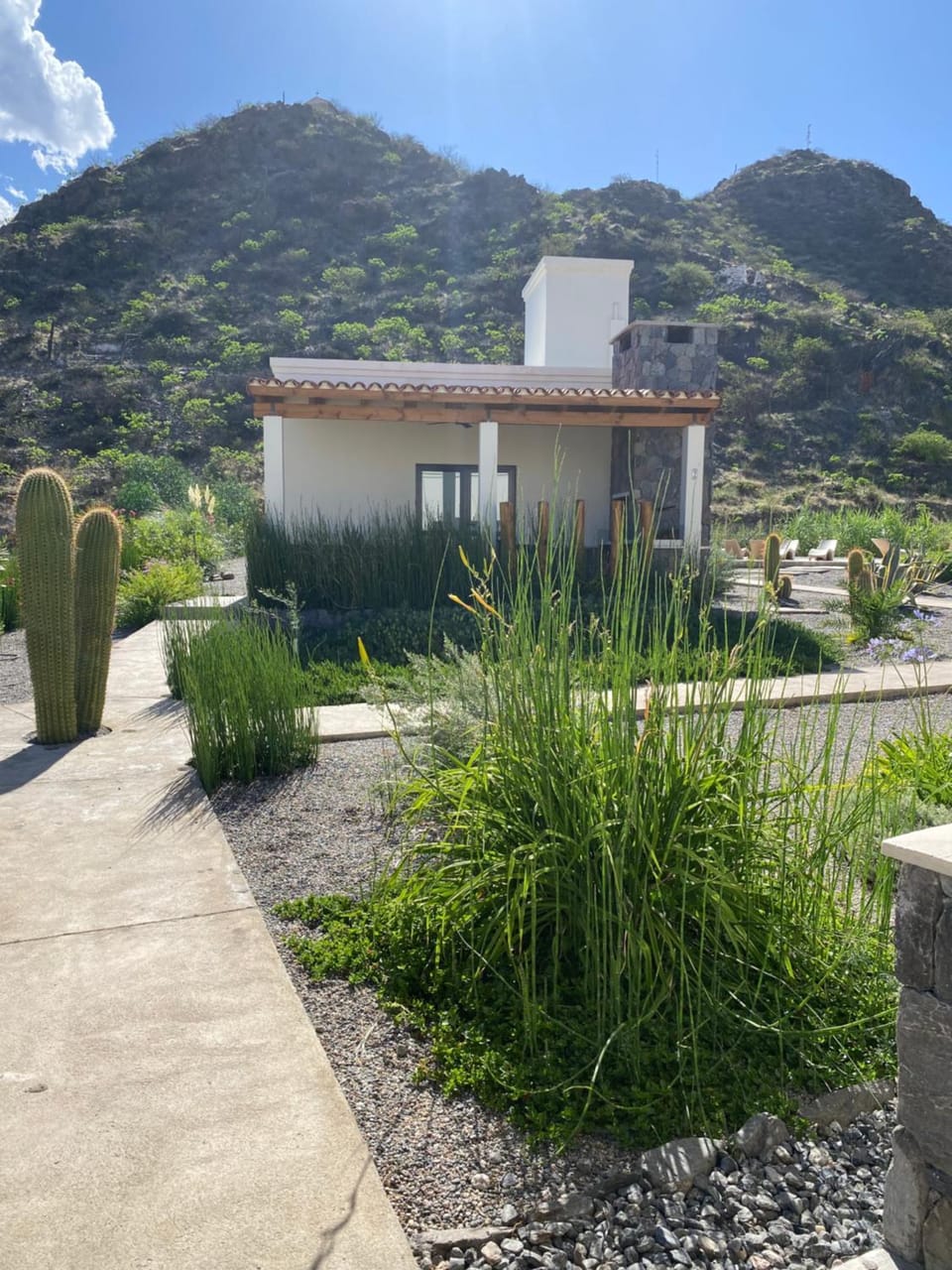 Garden view