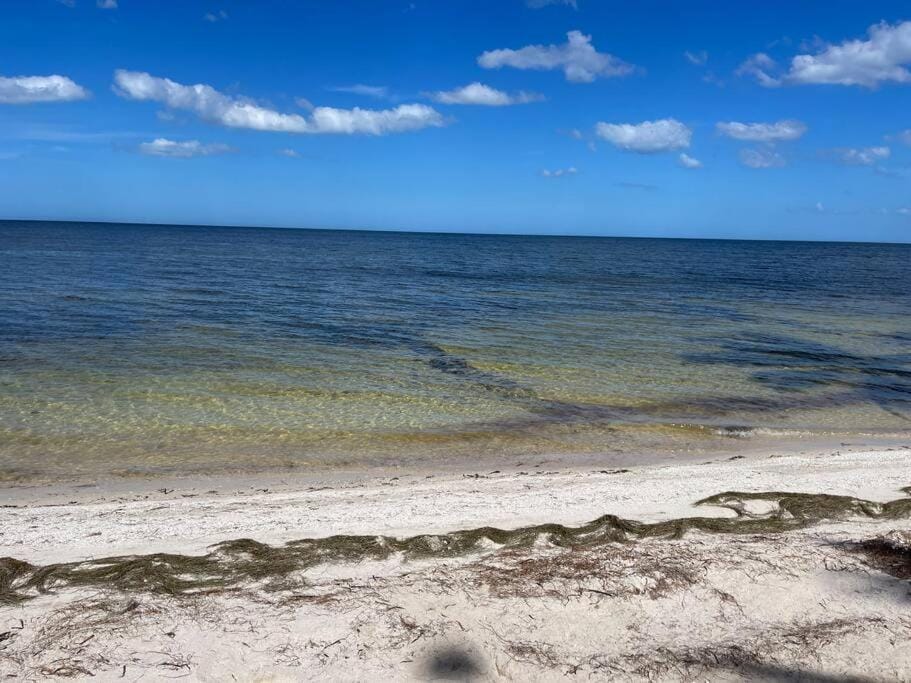 Gorgeous Oceanfront Villa Solana with Pool and Direct Beach Access Villa in State of Quintana Roo