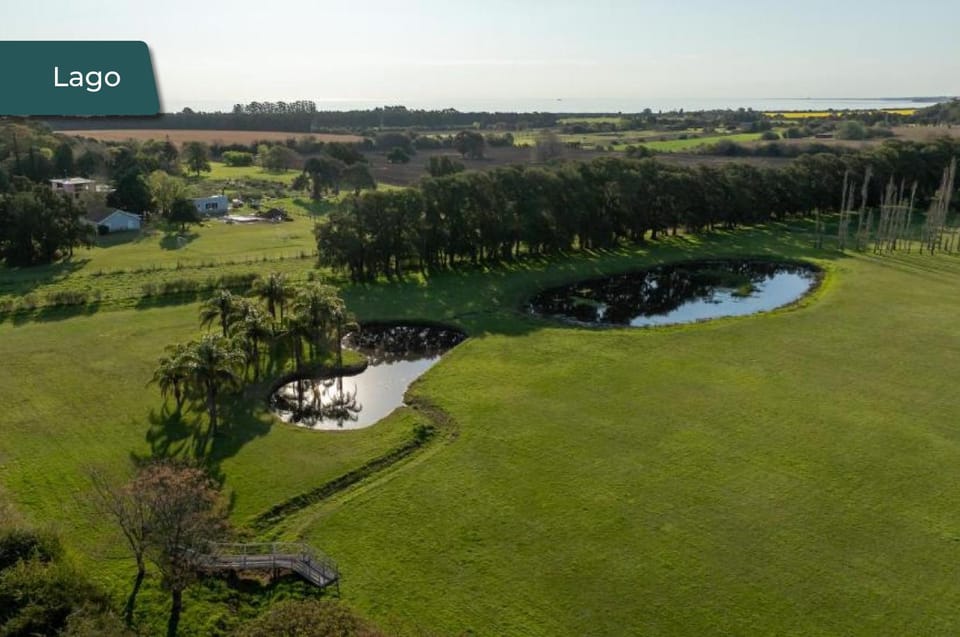 Property building, Natural landscape, Lake view