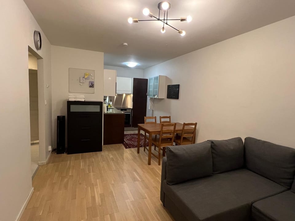 Kitchen or kitchenette, Living room