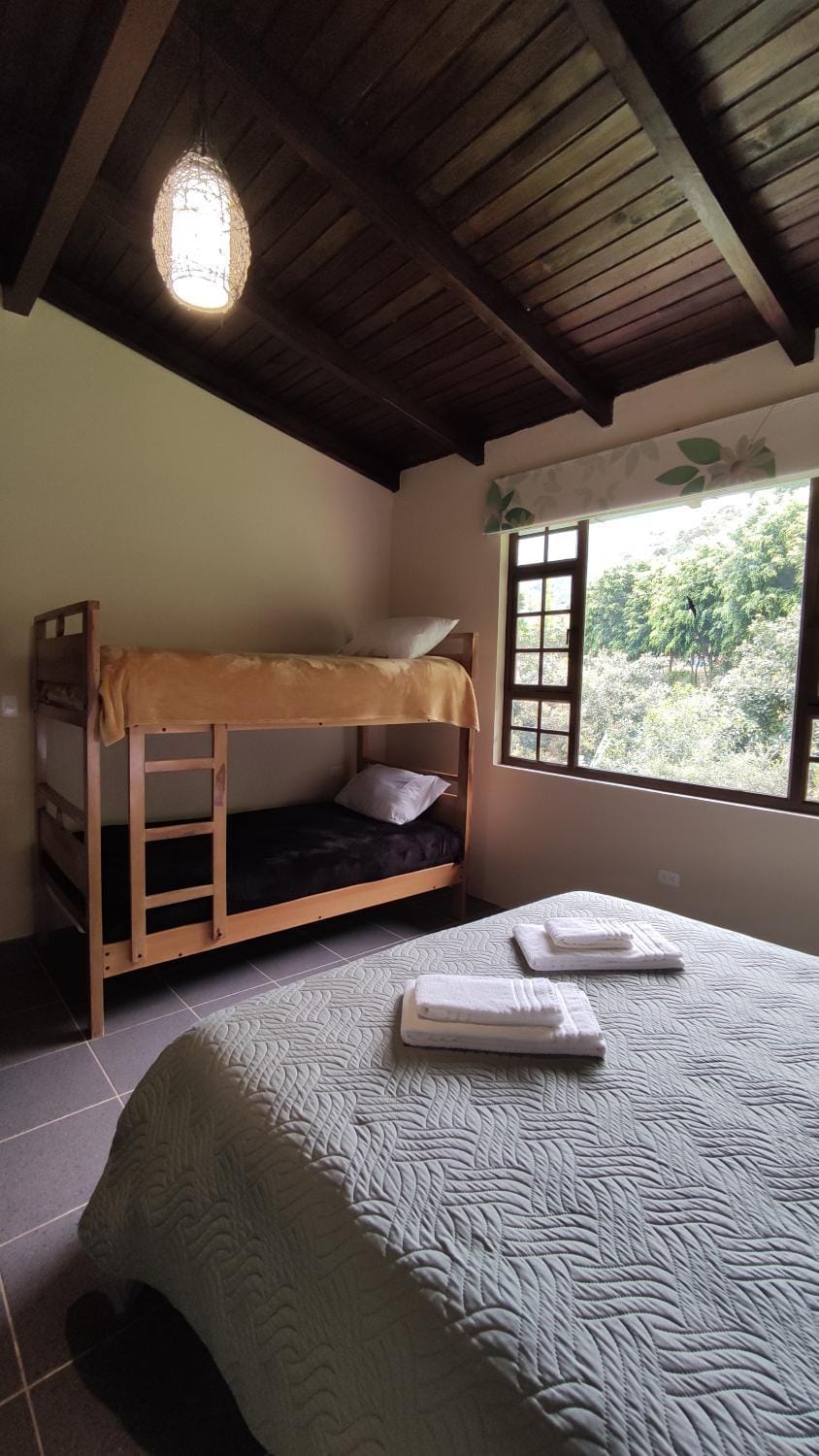 Bed, Photo of the whole room, Bedroom, bunk bed, towels